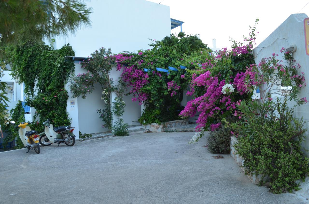 Studios Panorama Drios Dış mekan fotoğraf
