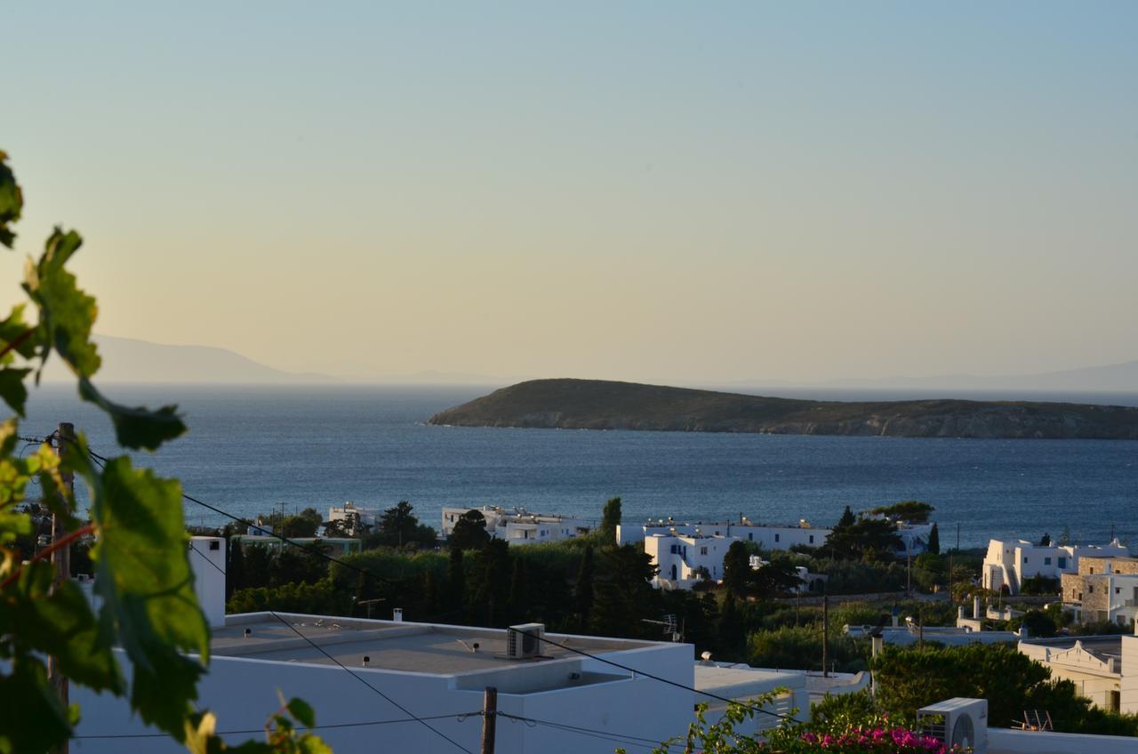 Studios Panorama Drios Dış mekan fotoğraf