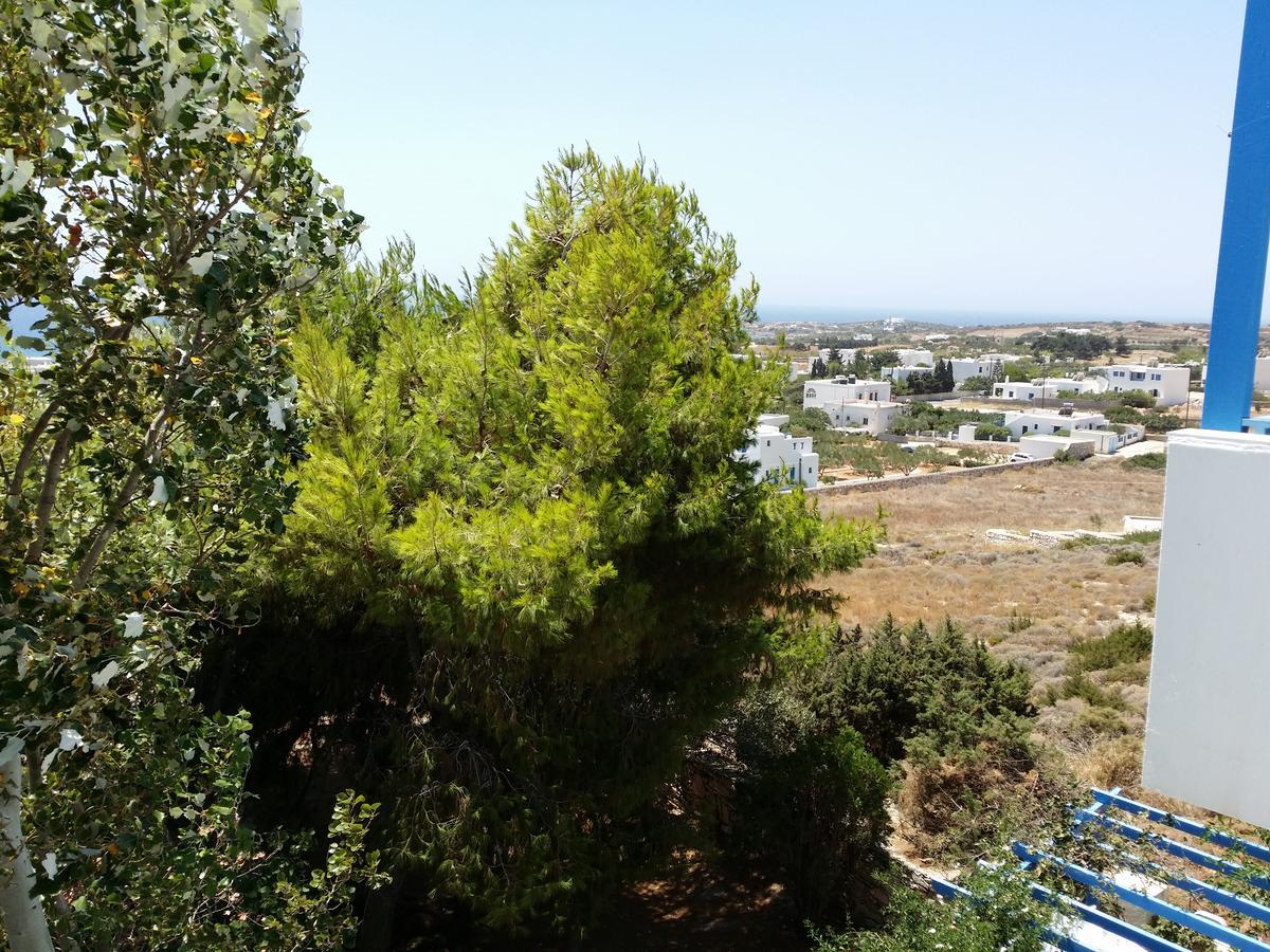 Studios Panorama Drios Dış mekan fotoğraf