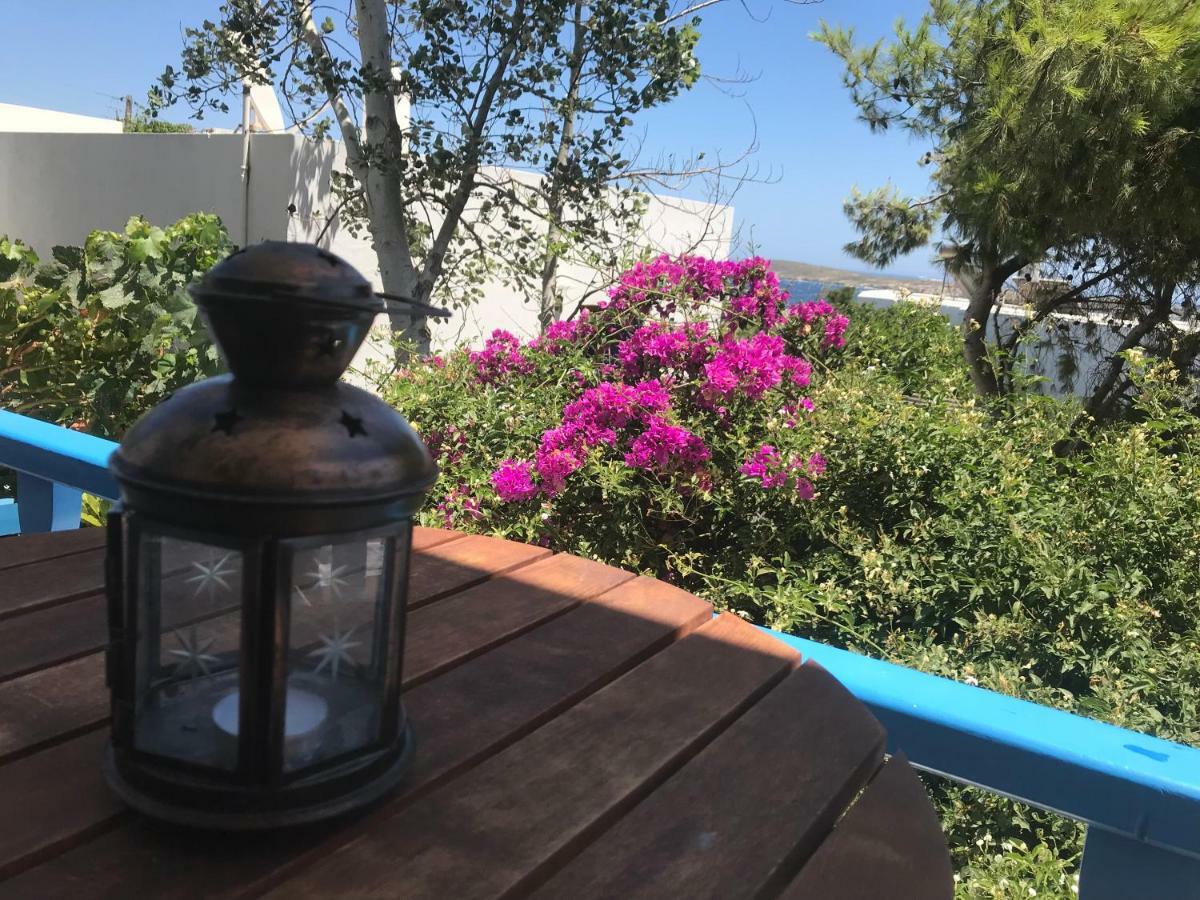Studios Panorama Drios Dış mekan fotoğraf