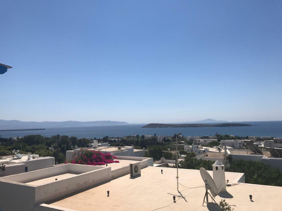 Studios Panorama Drios Dış mekan fotoğraf