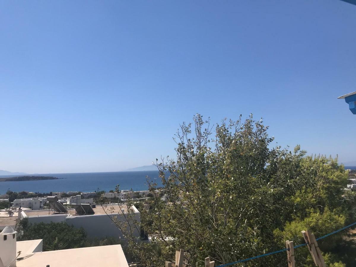 Studios Panorama Drios Dış mekan fotoğraf